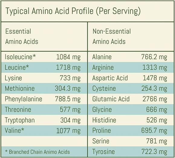 Coconut Protein Blend