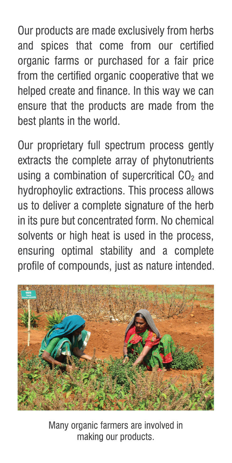 Holy Basil Capsules